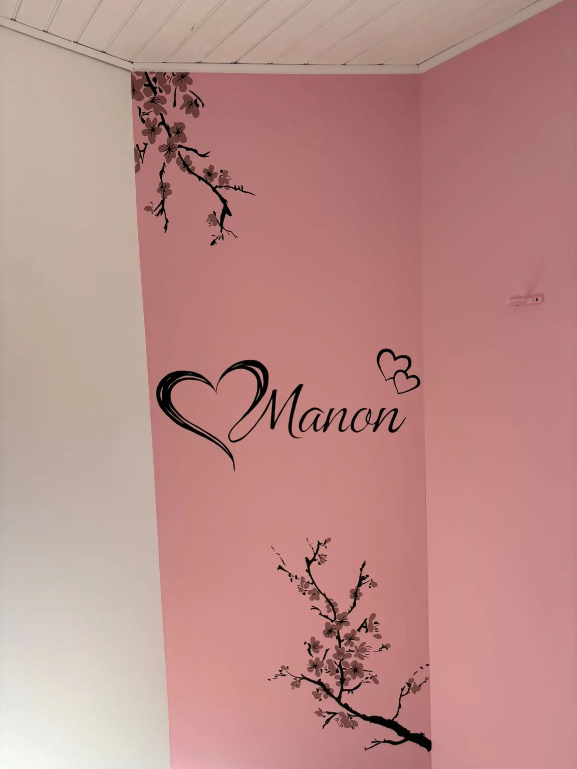 peinture mur decoration interieure chambre
